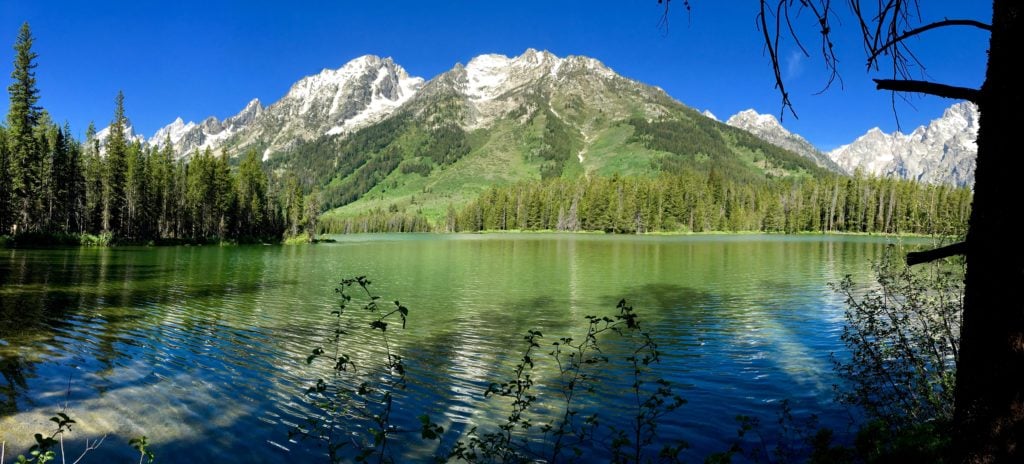 View of the mountains in The Complete Guide to Hiking with Kids