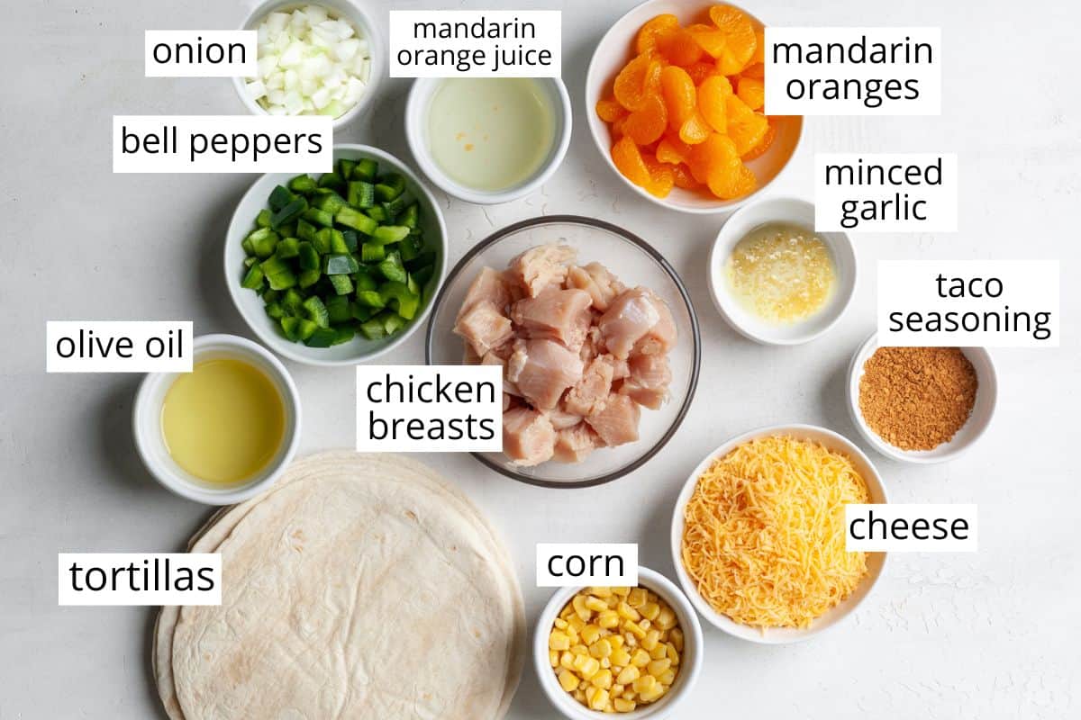 overhead view of the labeled ingredients in this chicken quesadilla recipe