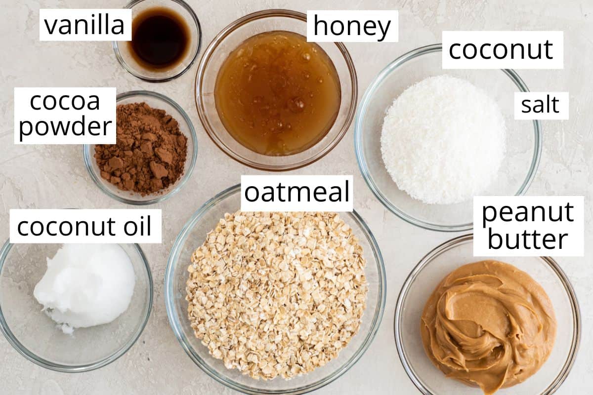 overhead photo of the labeled ingredients in this Healthy No Bake Cookies recipe