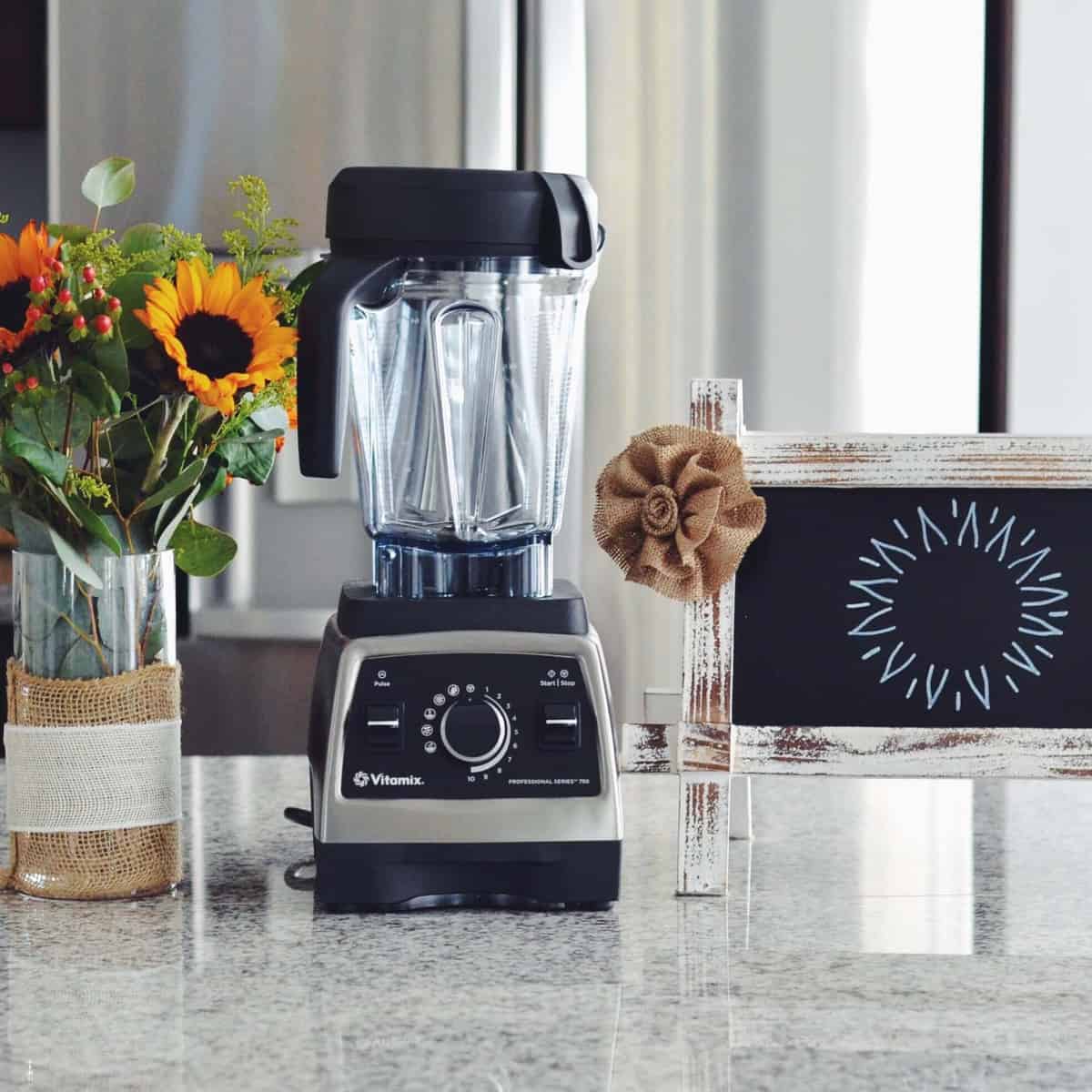 Which Vitamix is the Best? (Vitamix Comparison & Buying Guide