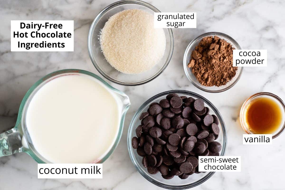 overhead photo of the ingredients in this dairy free hot chocolate recipe