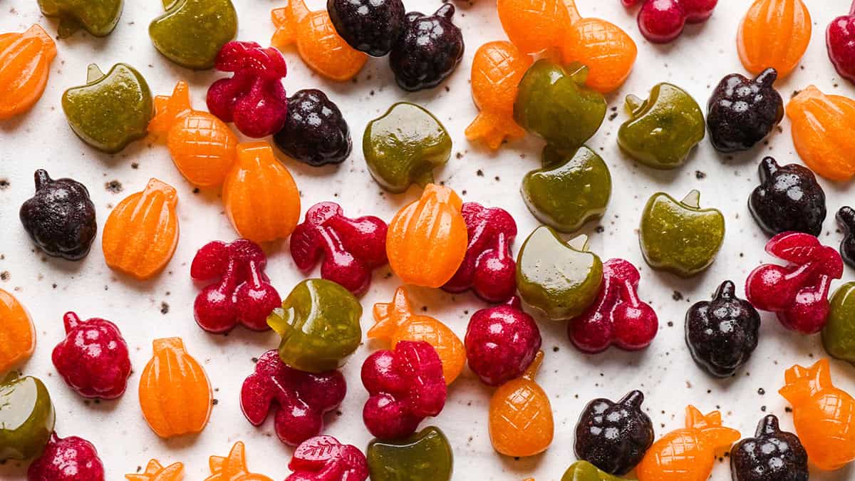 Homemade Fruit Snacks