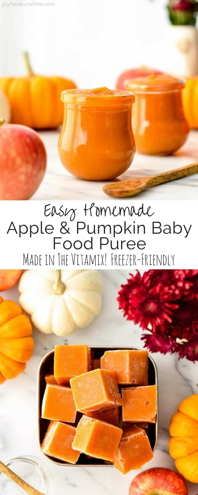 Homemade Apple & Pumpkin Baby Food Puree - Joyfoodsunshine