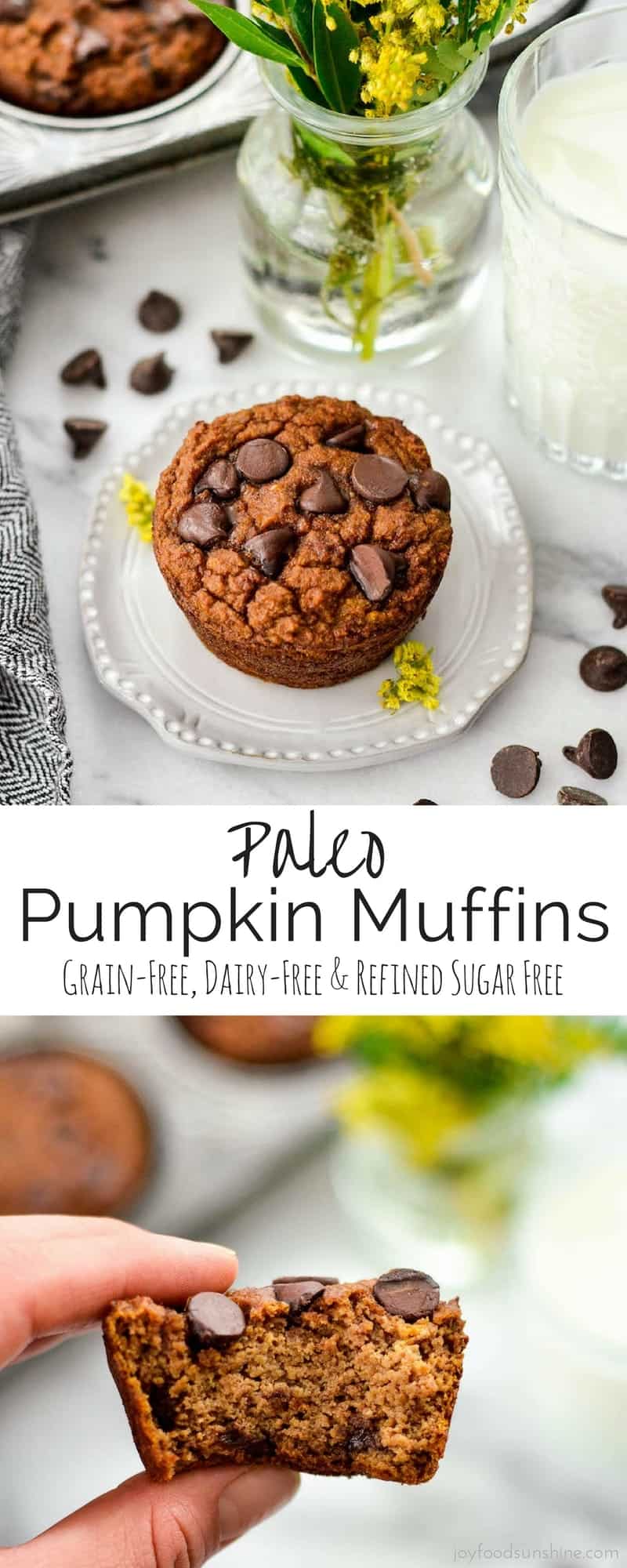 Paleo Pumpkin Muffins are a simple and healthy breakfast recipe! They are ready in 30 minutes & freezer friendly! Plus they are gluten-free, grain-free, dairy-free and have no refined sugar!
