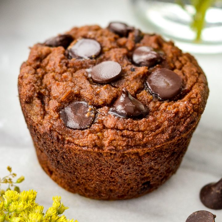 one paleo pumpkin muffin with chocolate chips