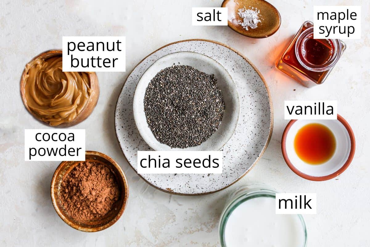 overhead photo of the labeled ingredients in this chocolate peanut butter chia pudding recipe 