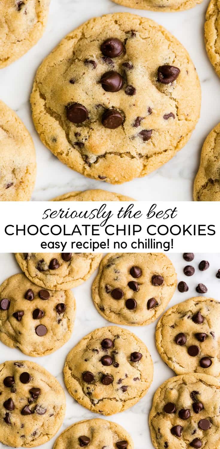 The Best Chocolate Chip Cookie Recipe Ever Joyfoodsunshine 4115