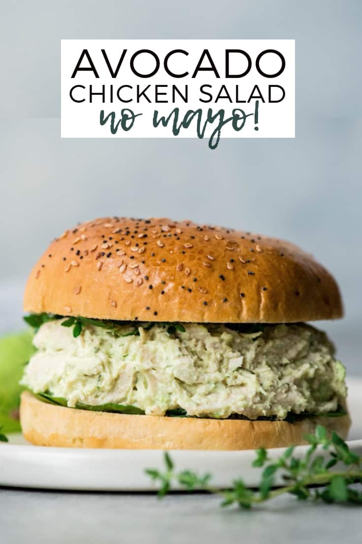 This Healthy Greek Yogurt Avocado Chicken Salad recipe has no mayo and is packed full of nutritious ingredients! It takes 5 minutes of active prep and is a great way to use leftover chicken! #recipe #healthy #glutenfree #chickensalad #avocado #lunch #healthyrecipe