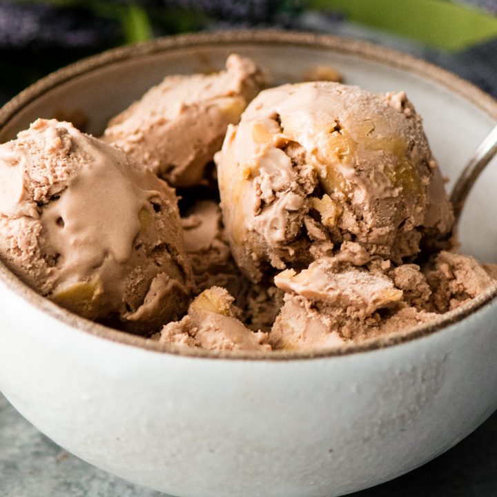 front view of a bowl of Dairy-Free Chocolate Peanut Butter Ice Cream with a spoon in it