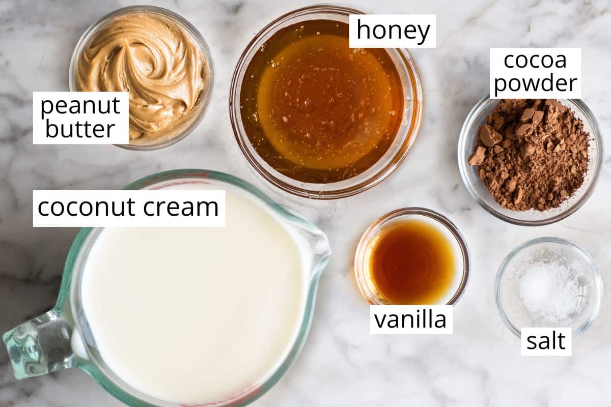 overhead photo of the labeled ingredients in this Dairy Free Chocolate Peanut Butter Ice Cream recipe