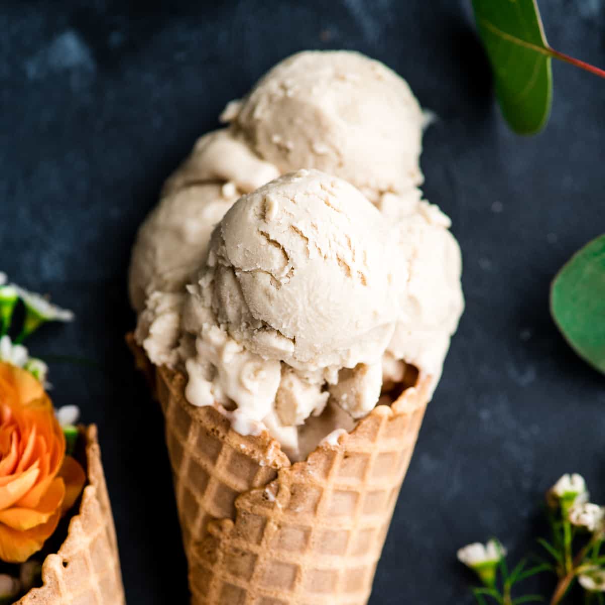 Dairy-Free Vanilla Ice Cream (Vegan) - The Roasted Root