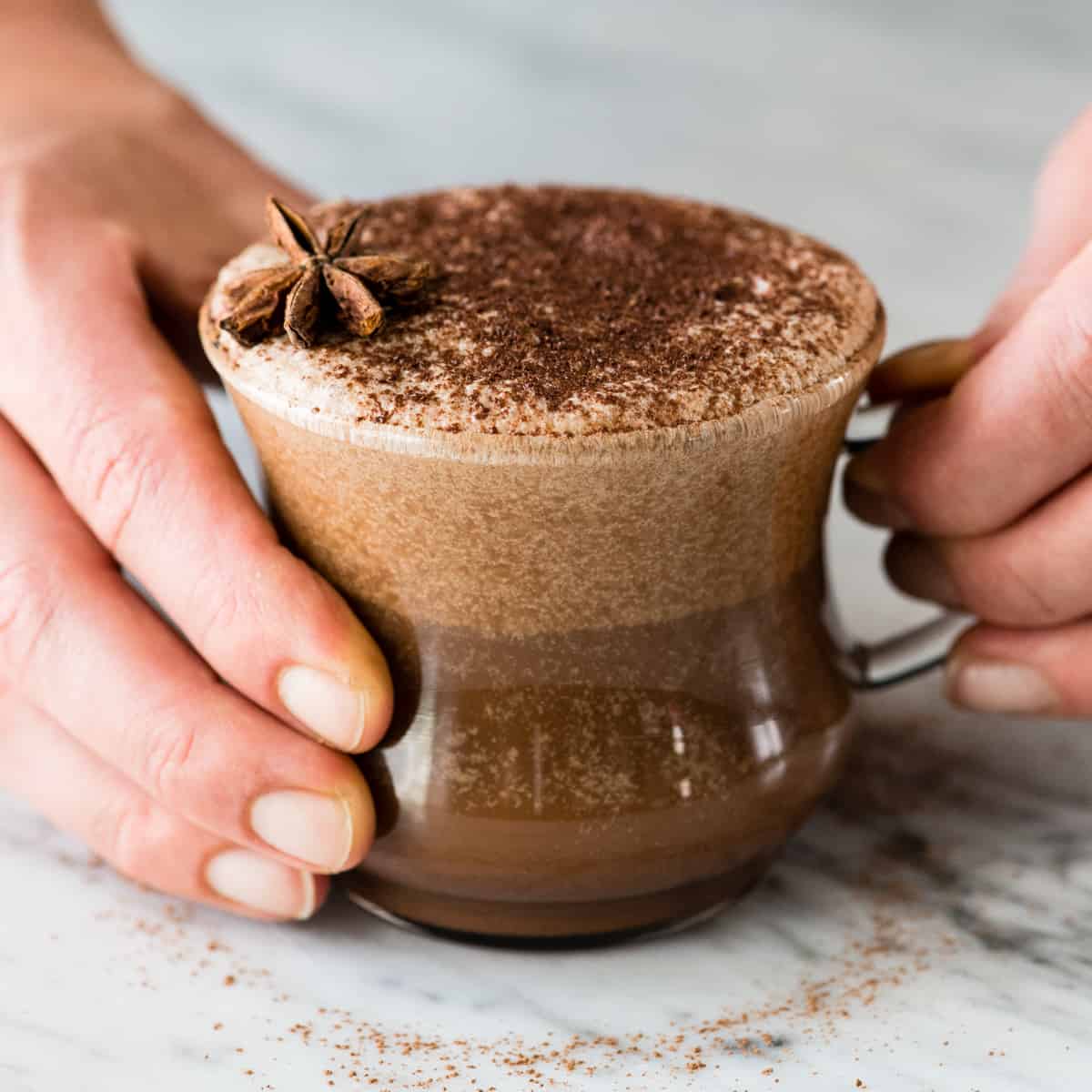 Front view of hands holding a glass mug filled with Dairy-Free Mocha Latte garnished with cocoa powder and star anise 