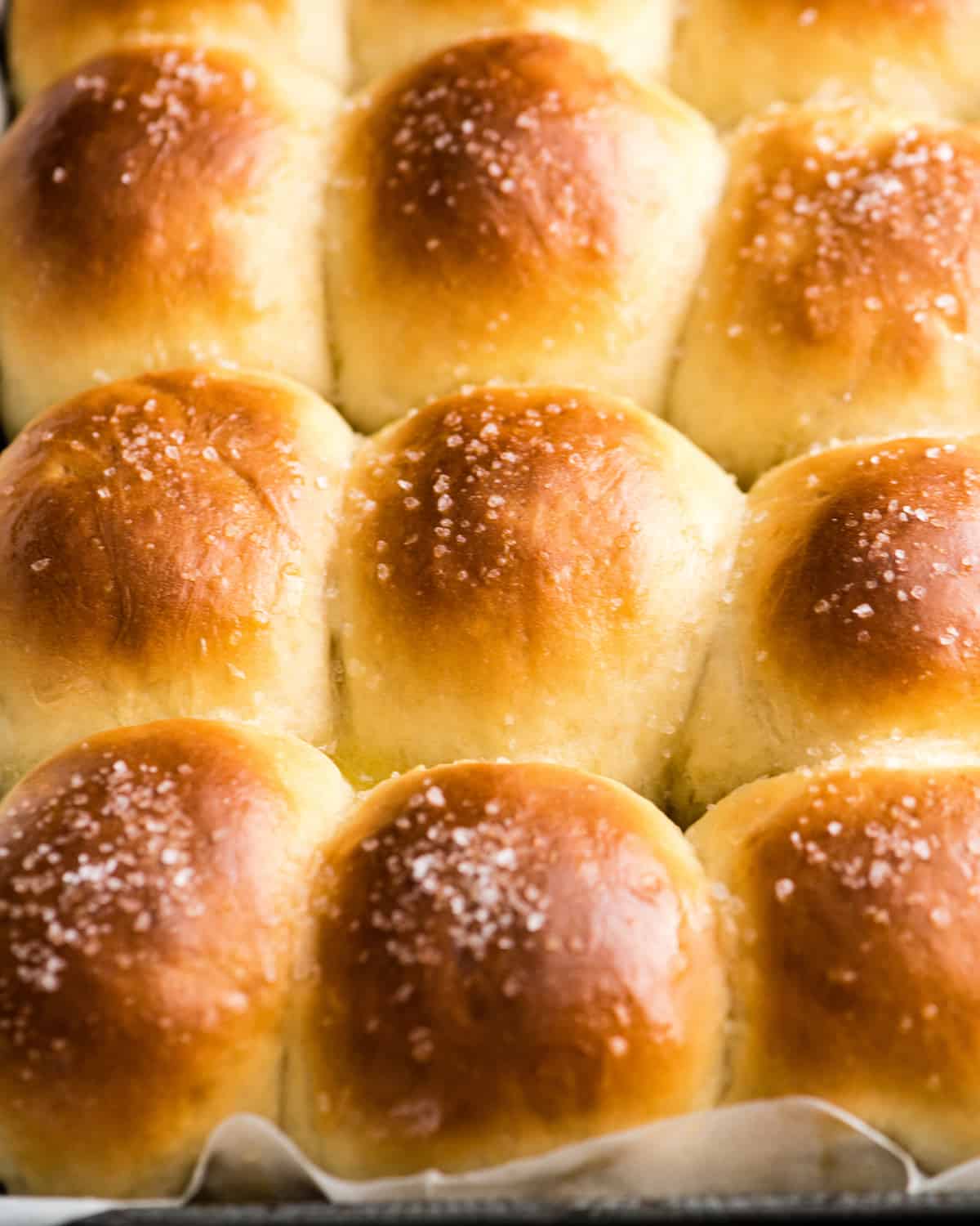 The Best Homemade Dinner Rolls Ever!