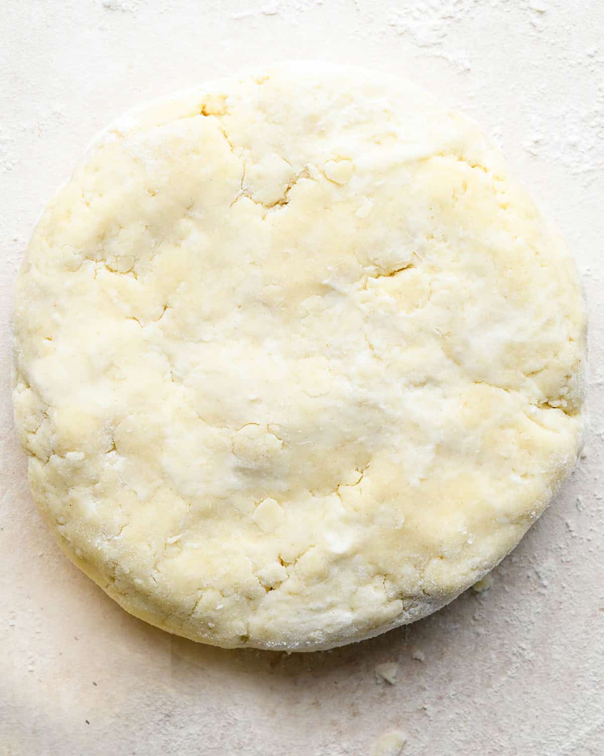 dairy free pumpkin pie crust dough formed into a round disc