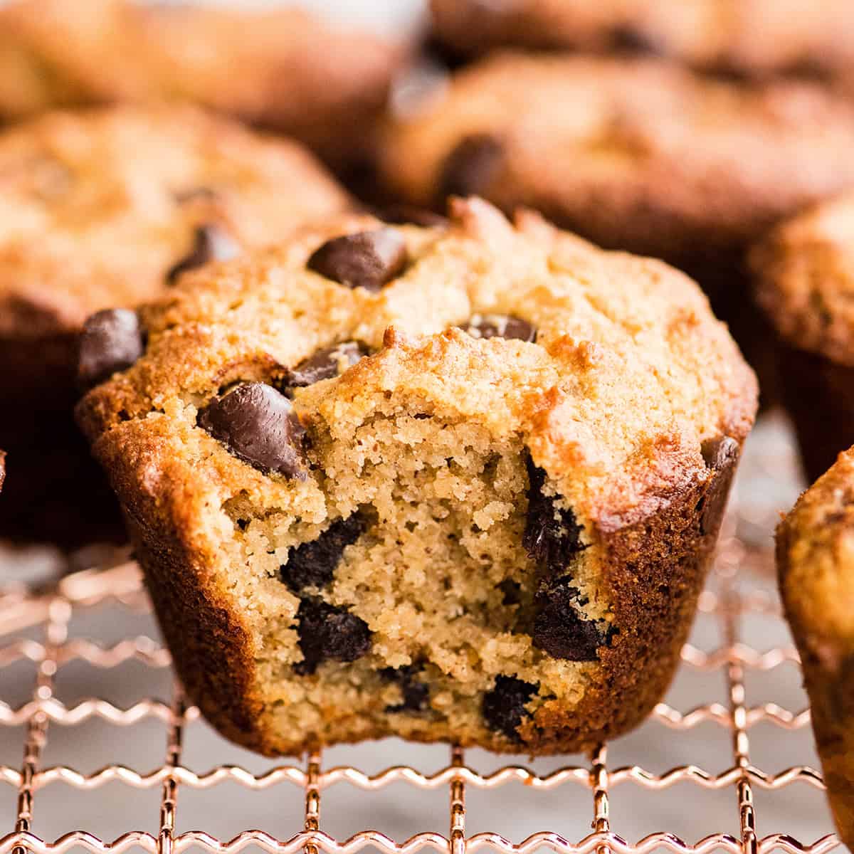 a Gluten Free Chocolate Chip Muffin with a bite taken out of it