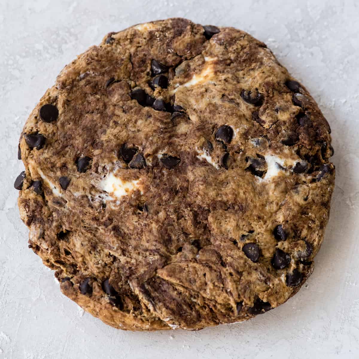 overhead up close view of the chocolate scone dough shaped into a circle