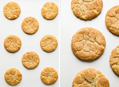 Best Snickerdoodles - JoyFoodSunshine