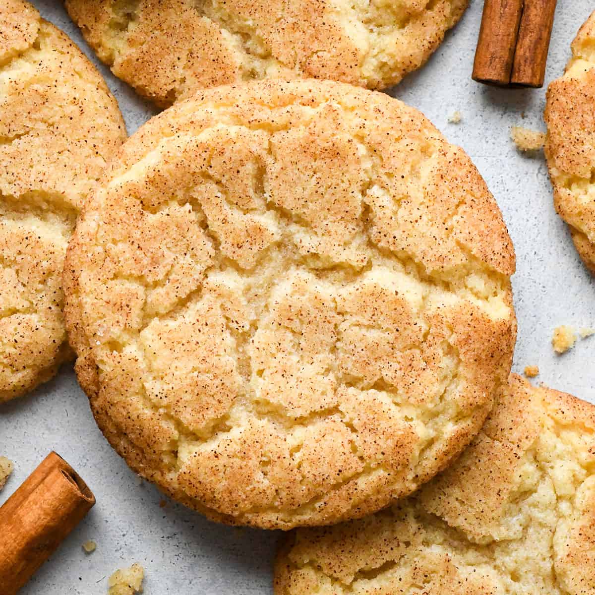 up close overhead photo of a snickerdoodle cookie
