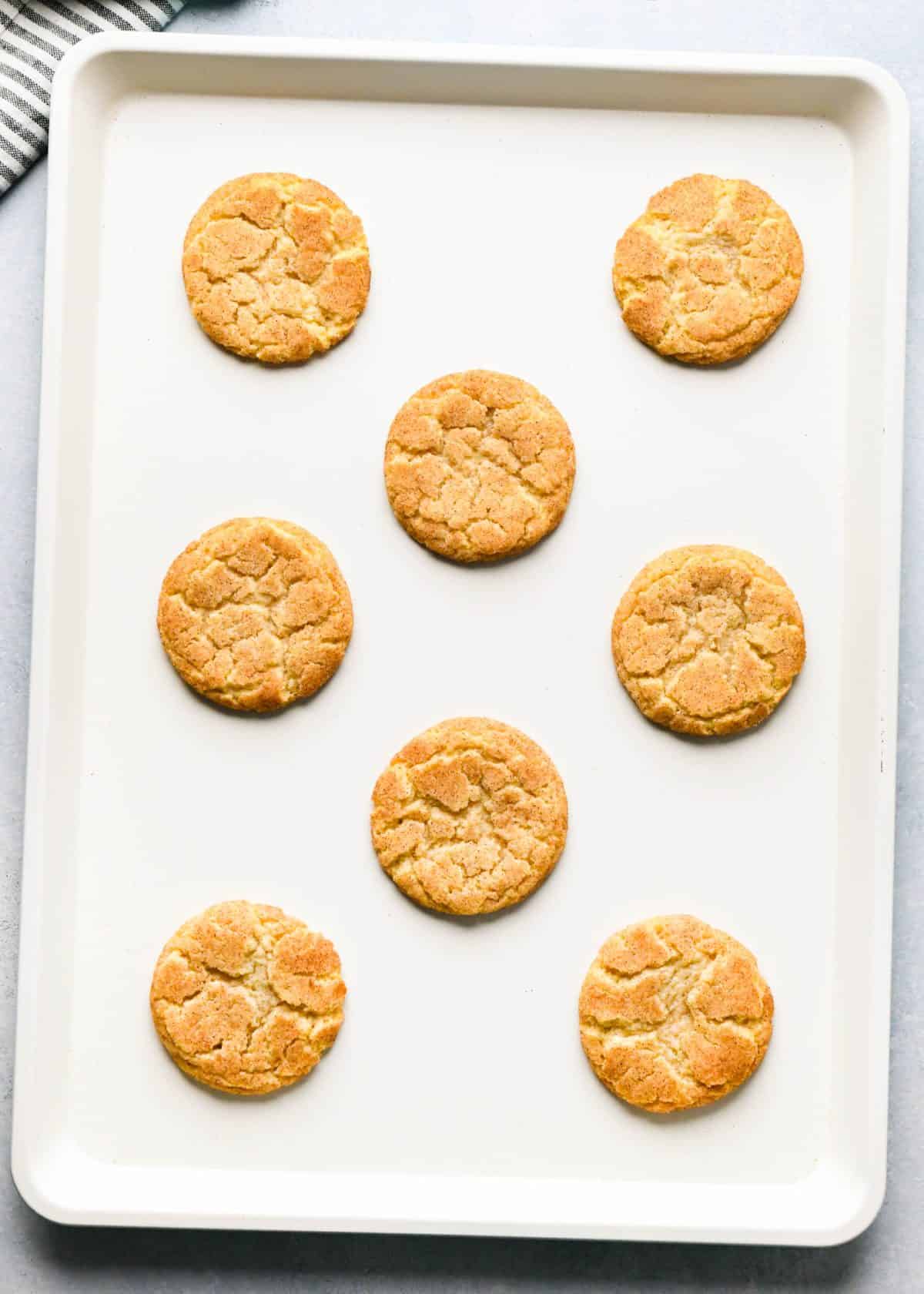 making snickerdoodles - 8 baked snickerdoodle cookies on a white baking sheet