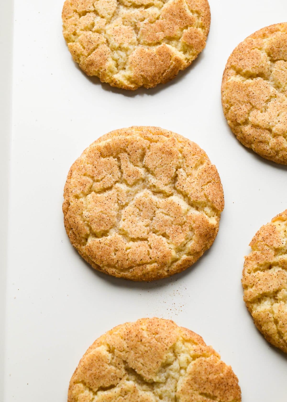 close up photo of 5 snickerdoodles on a white baking sheet after baking