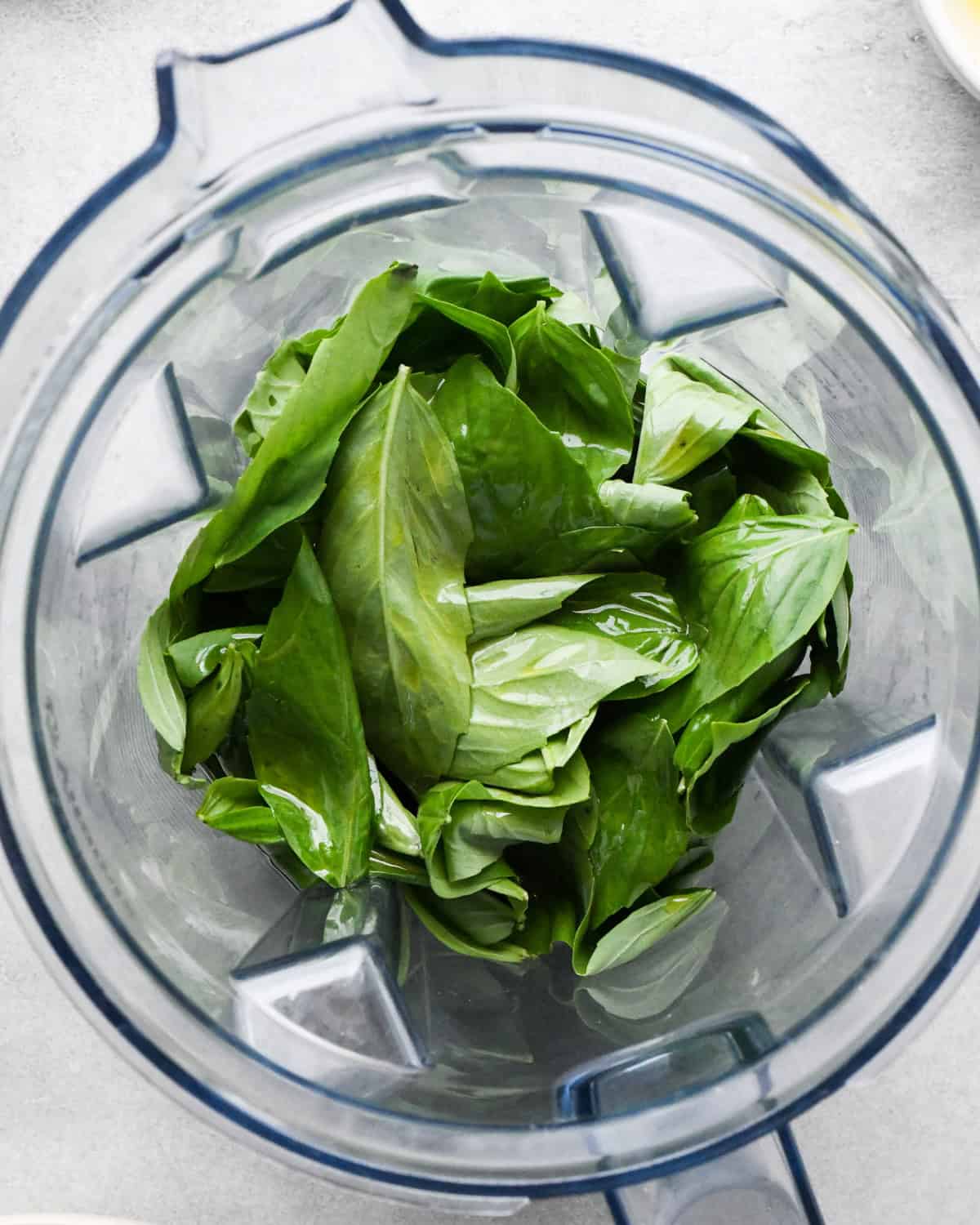 making pesto pasta sauce in a blender, basil and olive oil added to the container before blending