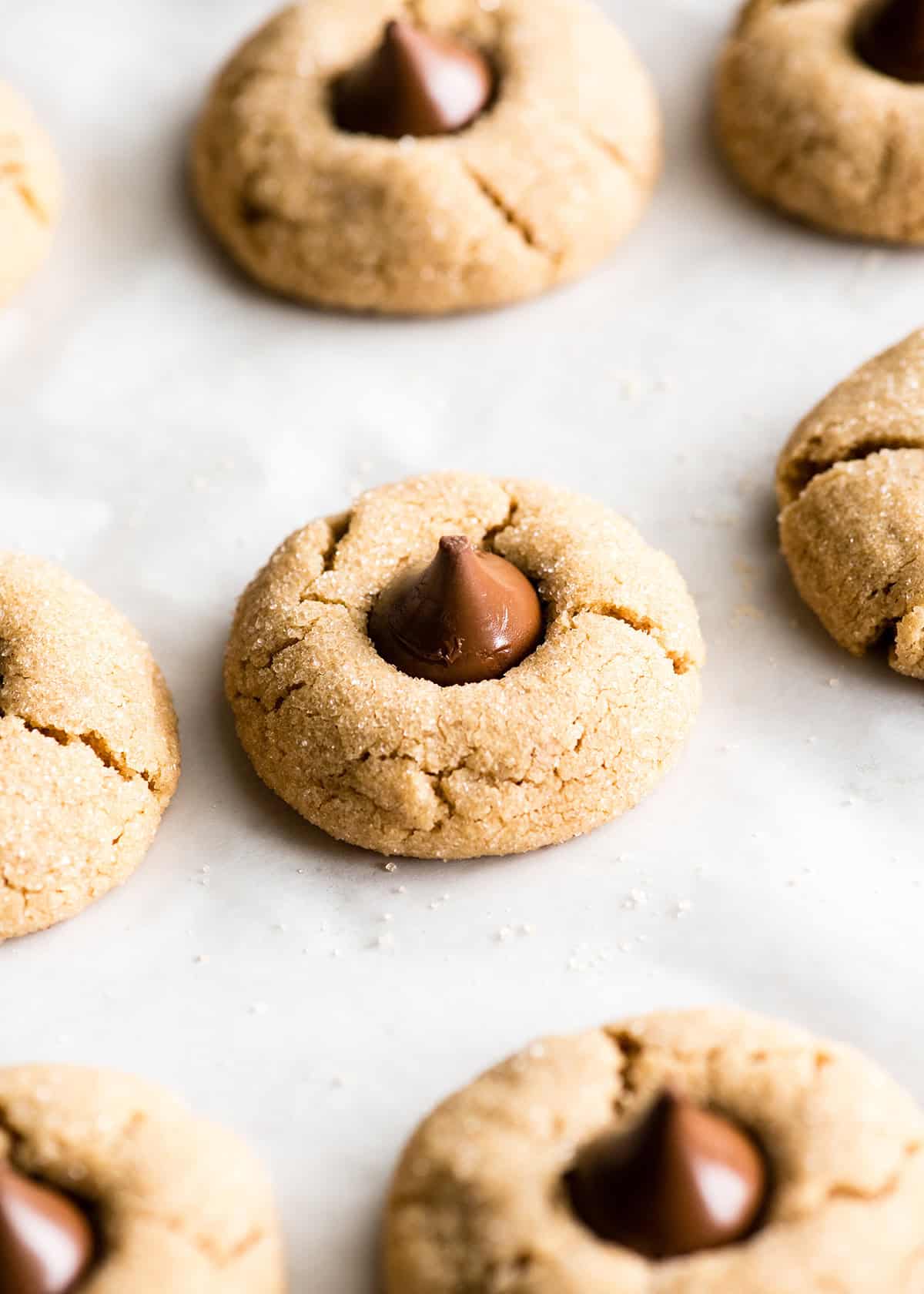 7 peanut butter blossoms cookies on a baking sheet lined with white parchment paper right after they've been removed from the oven and the chocolate kisses have been pressed into the top. The kisses are warm and shiny.