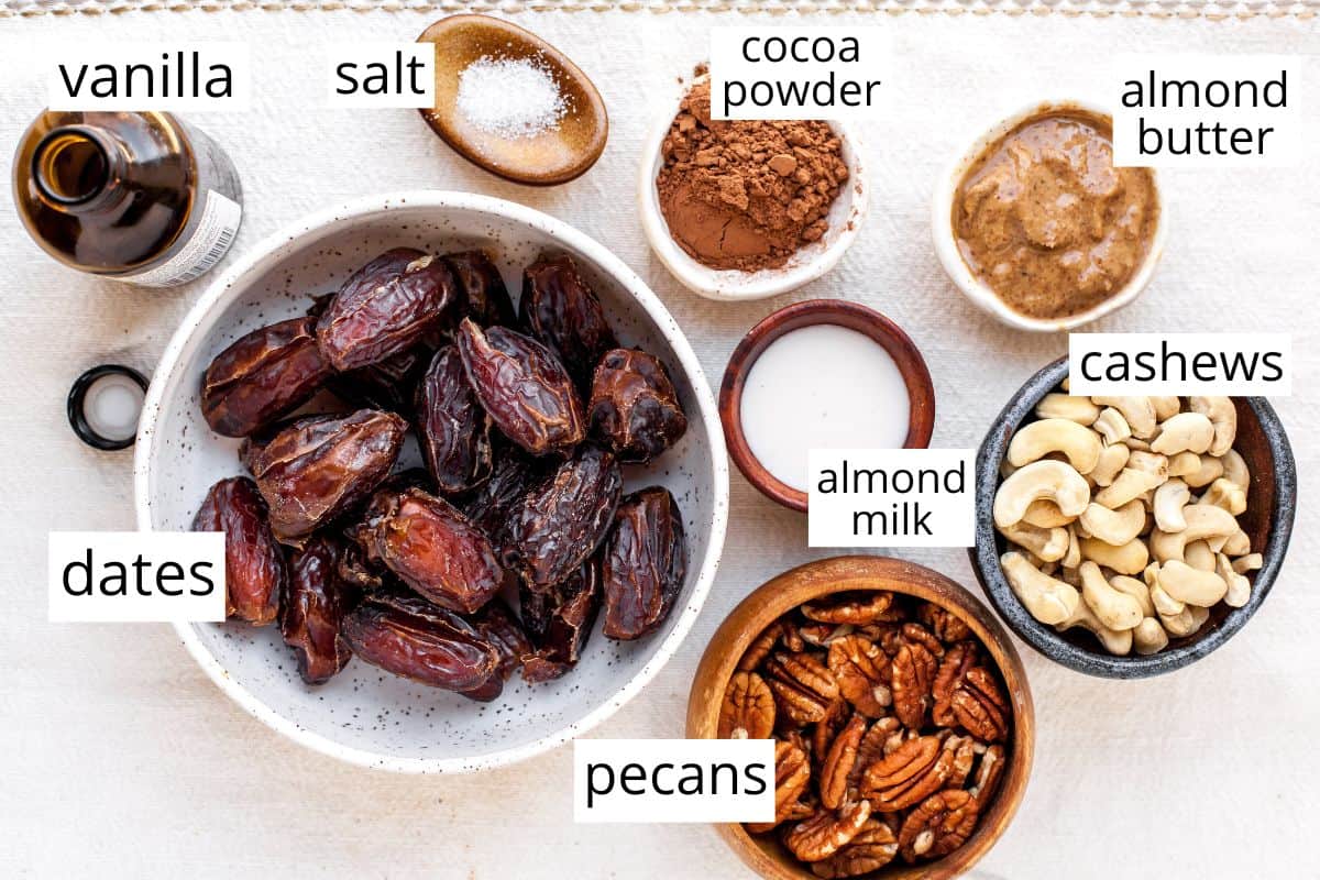 overhead view of the labeled ingredients in this chocolate date energy balls recipe