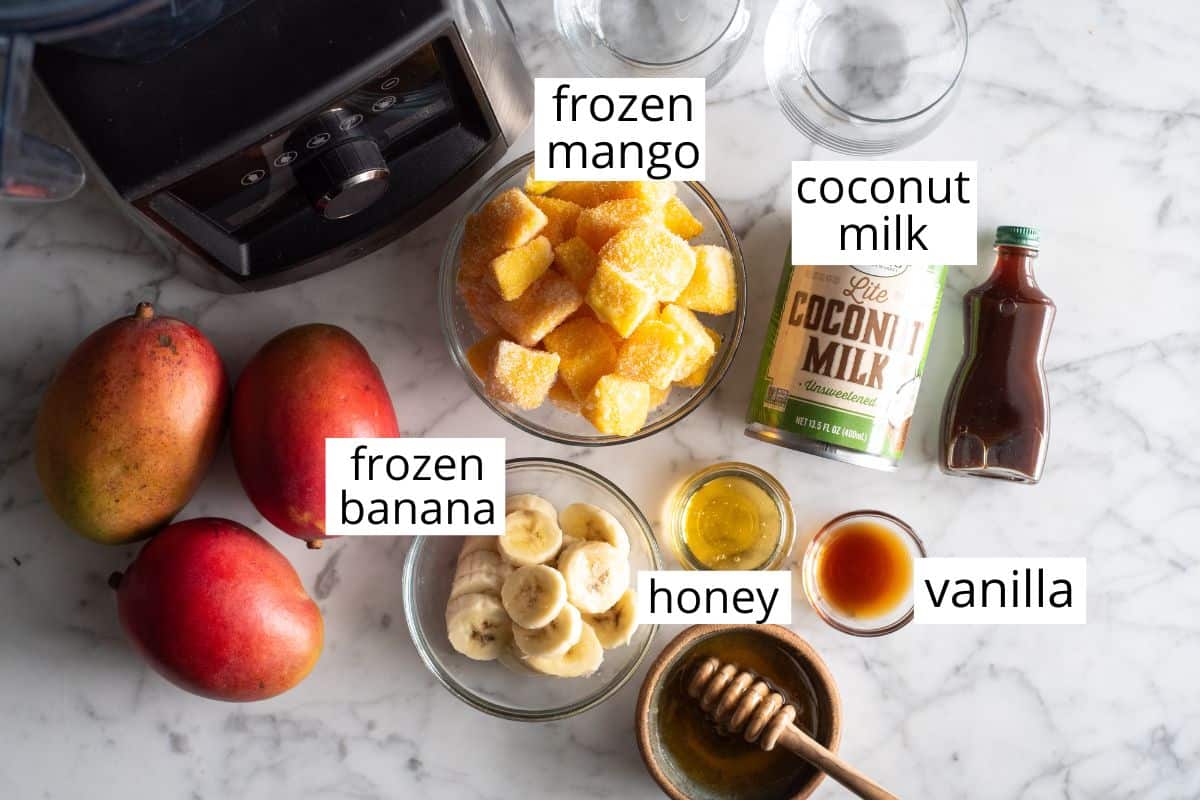 overhead view of the labeled ingredients in this mango smoothie recipe