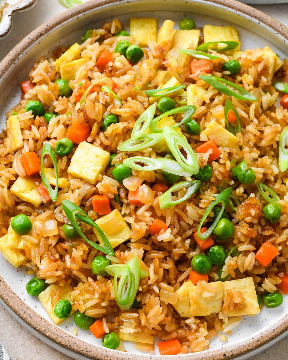 fried rice on a plate garnished with green onions. 
