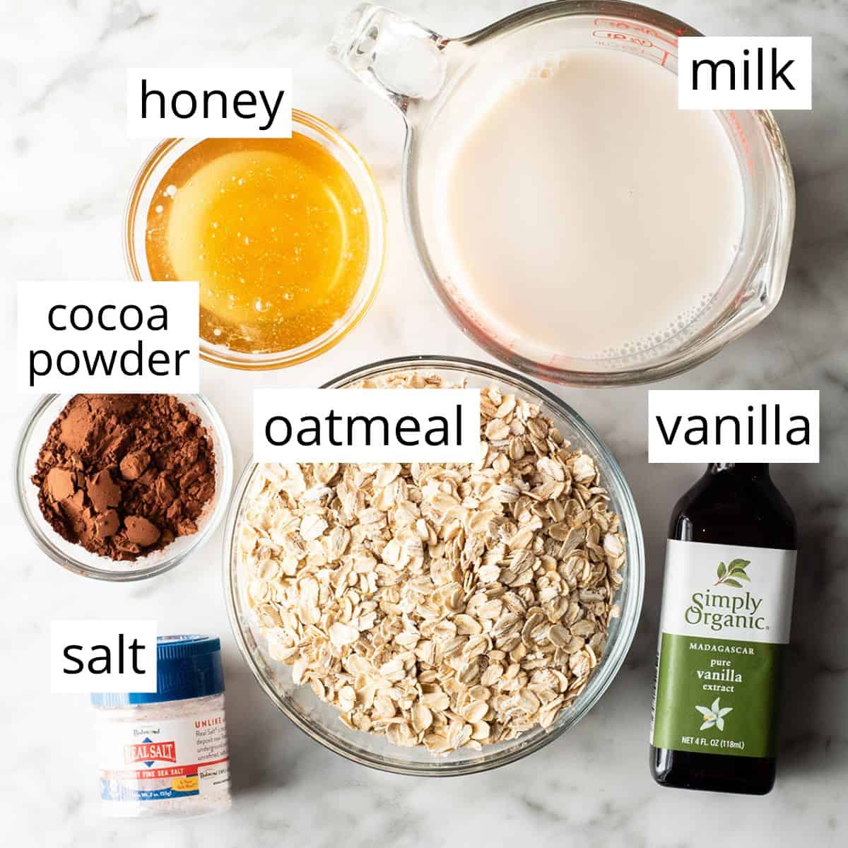 Overhead photo of the labeled ingredients in this chocolate overnight oats recipe