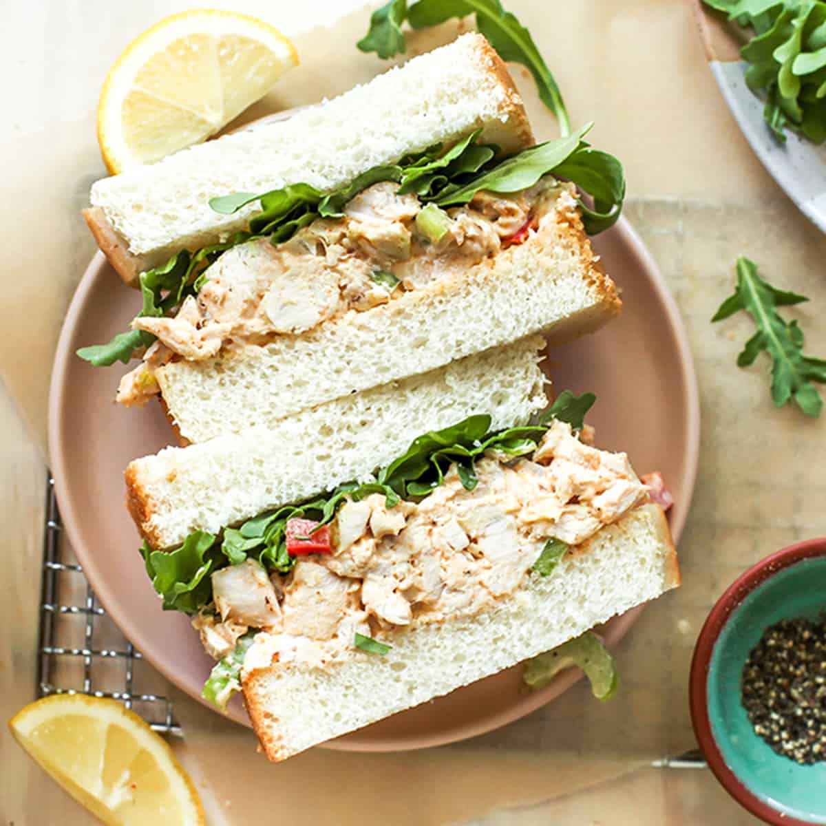 overhead view of two halves of a chicken salad sandwich on a plate