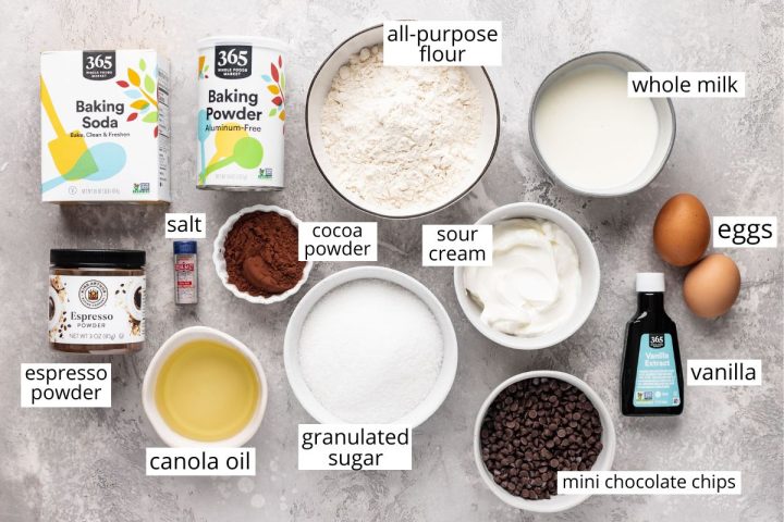 overhead view of the ingredients in this chocolate cake recipe