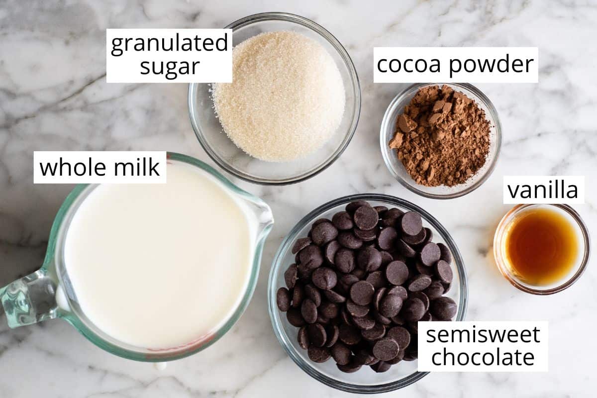 overhead view of the labeled ingredients in this hot chocolate recipe