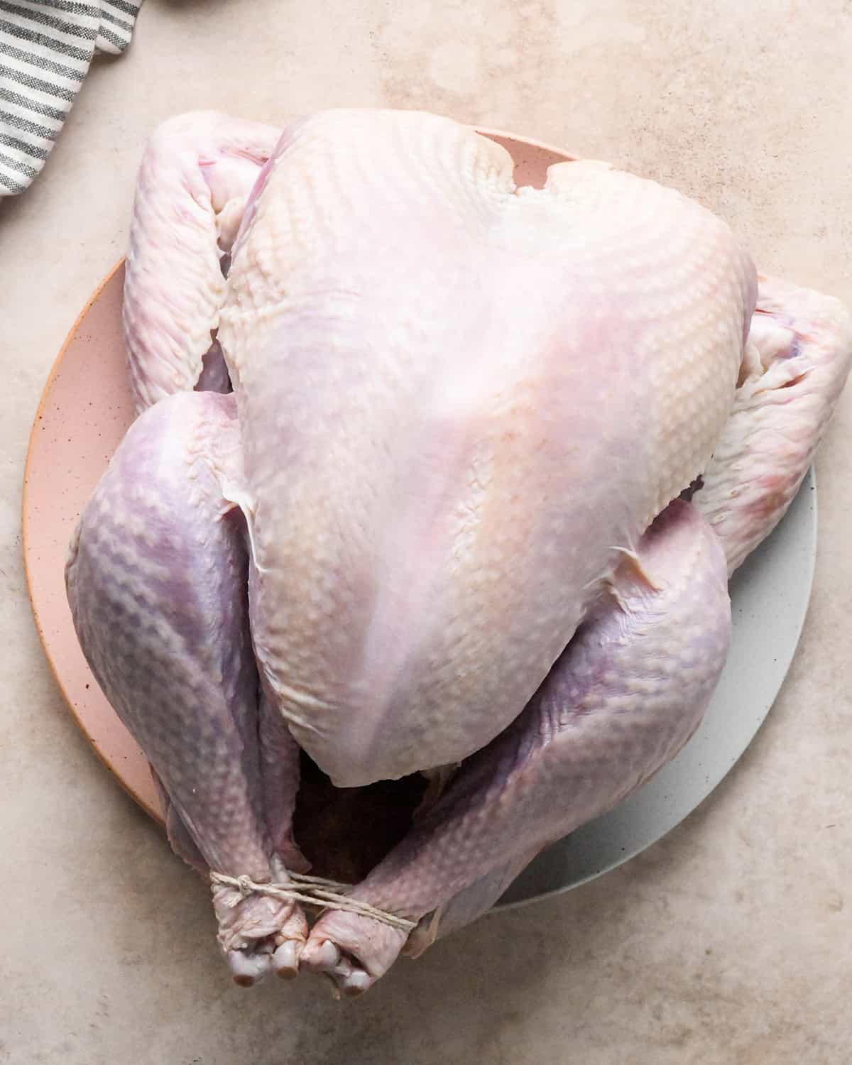 an uncooked, full turkey on a plate