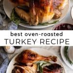 Roast Turkey Recipe - JoyFoodSunshine