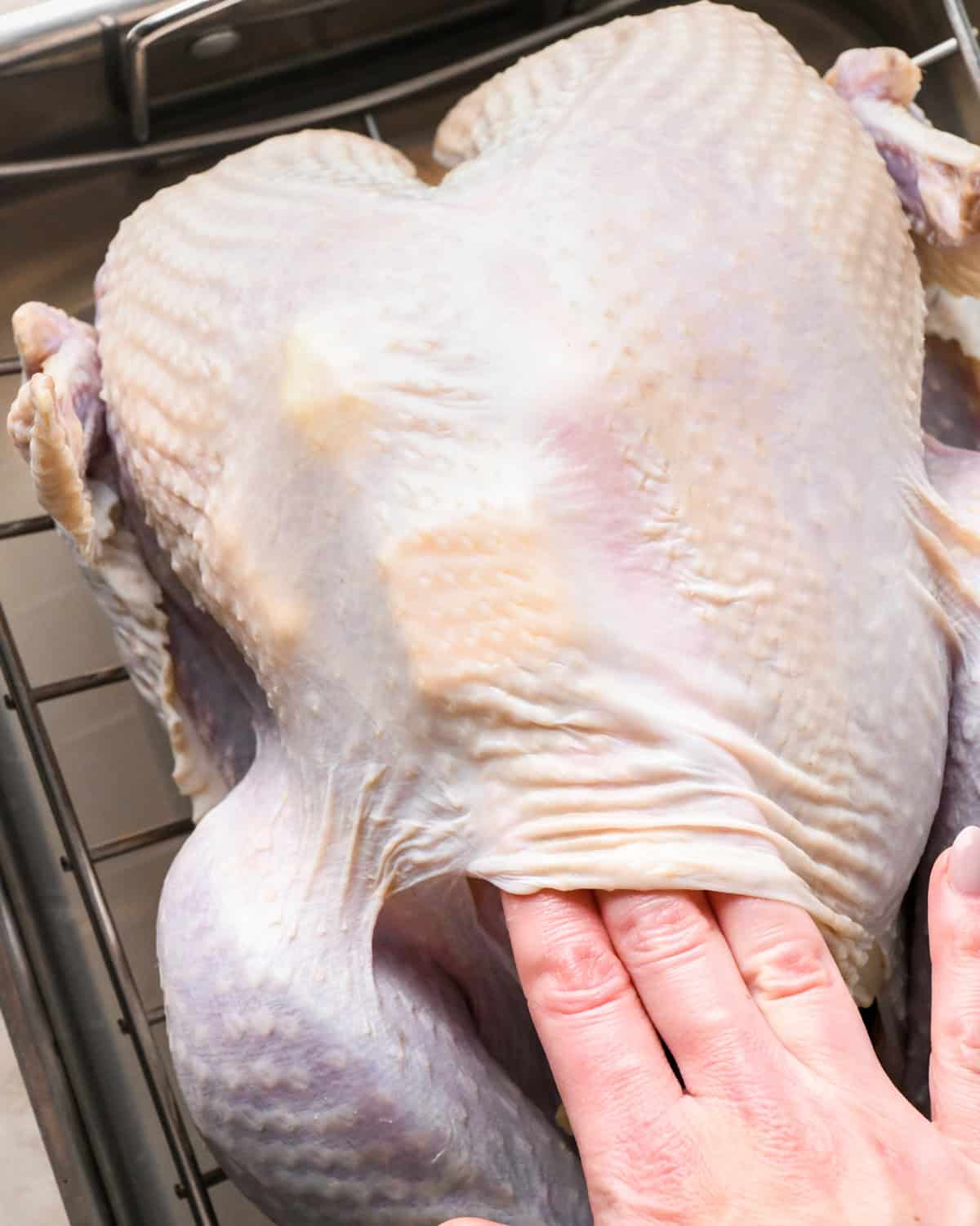 butter being placed under the skin of a turkey near the breast. The turkey is in a wire rack in a roasting pan to make this oven roasted turkey recipe