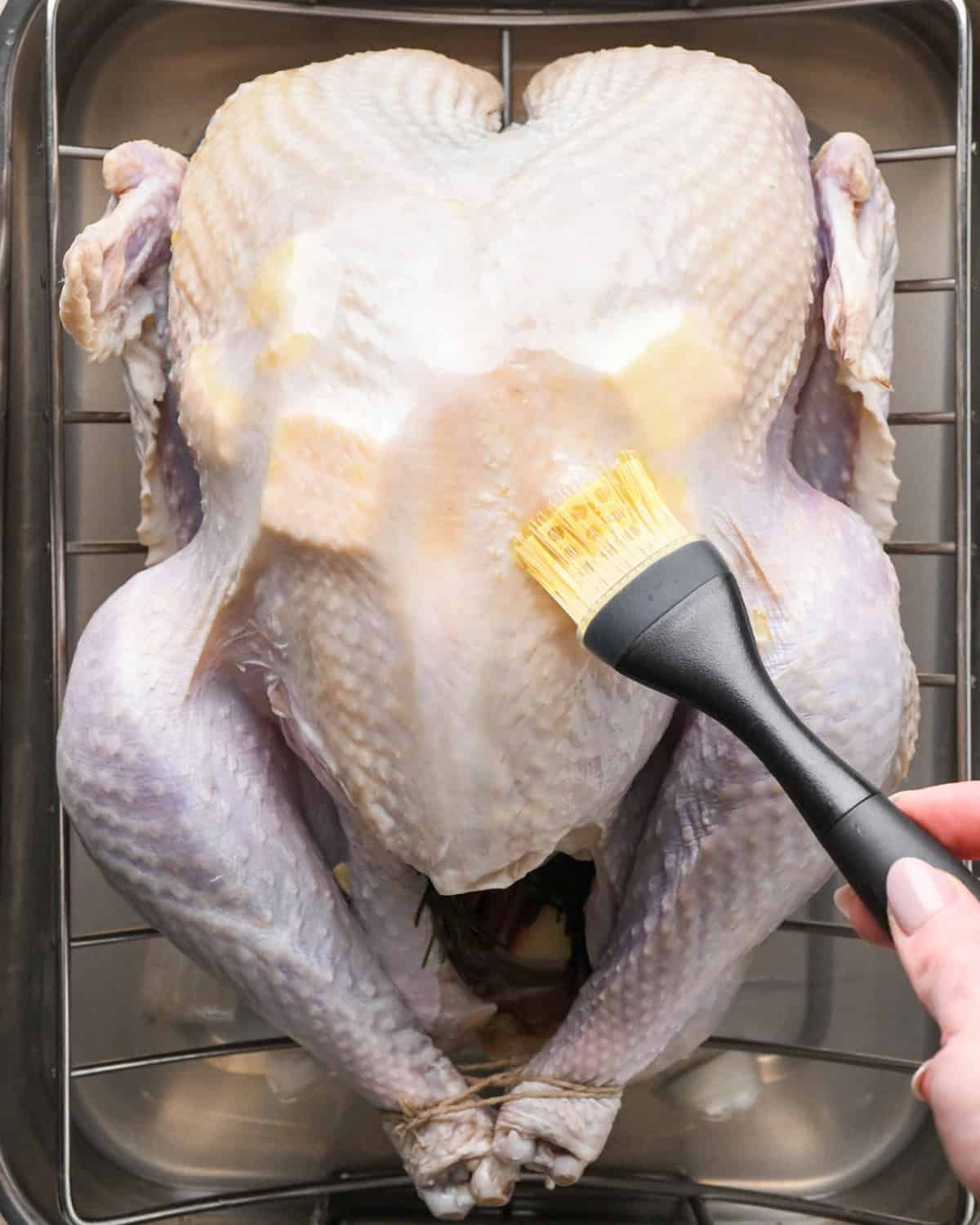 olive oil being brushed over the skin of an uncooked whole turkey with butter under the skin, the turkey in on a wire rack in a roasting pan