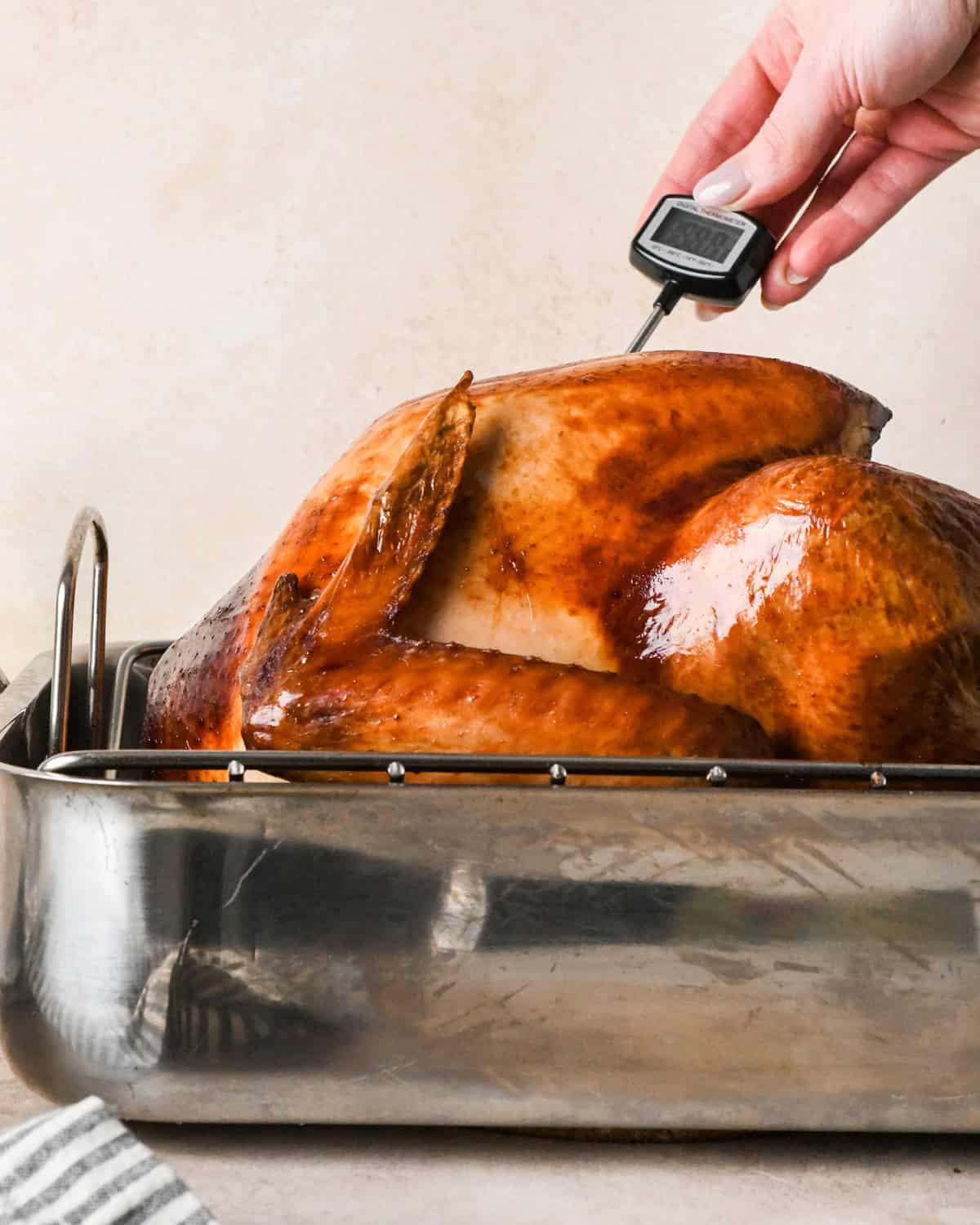 a hand putting a thermometer inside an oven roast turkey in a roasting pan after it has finished roasting. 