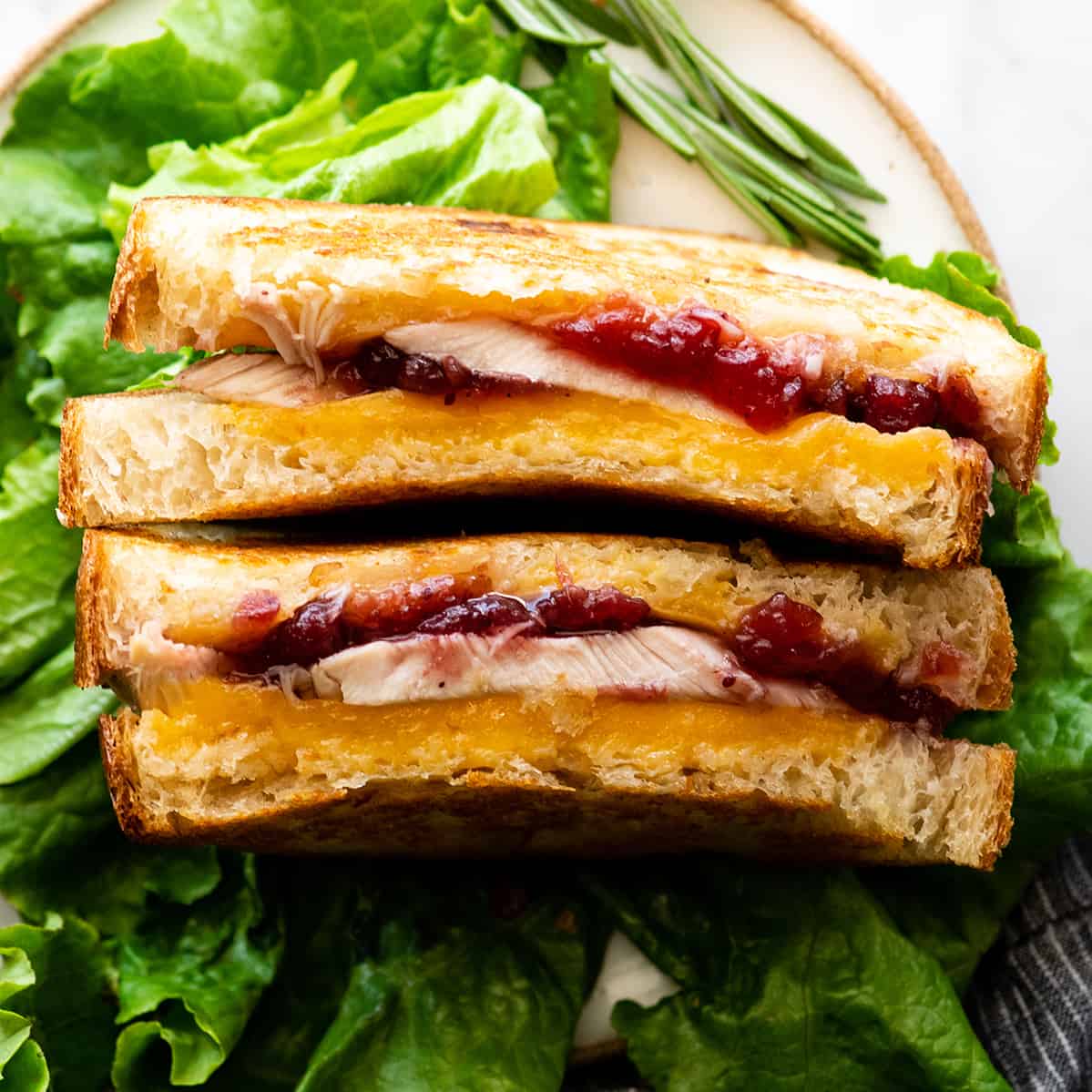 overhead photo fo a Turkey Cranberry Sandwich cut in half