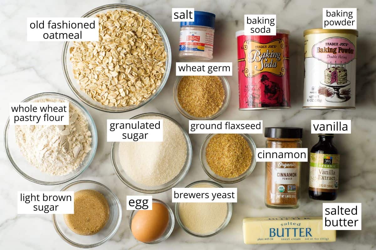 overhead view of the labeled ingredients in this Best Lactation Cookies Recipe