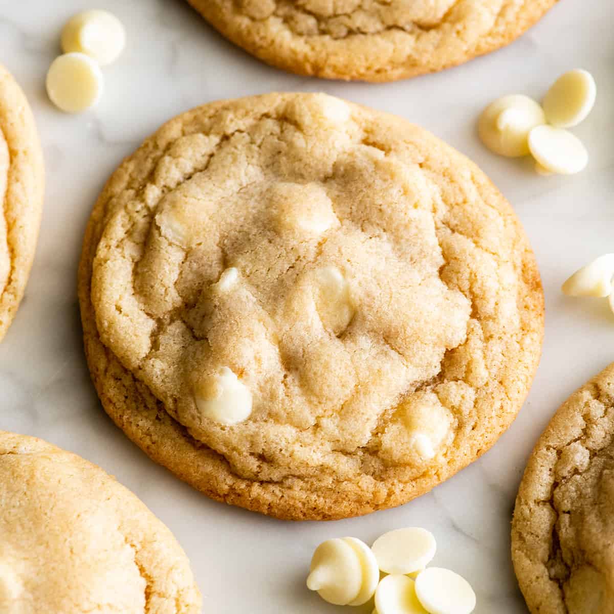 up-close view of a White Chocolate Chip Cookie