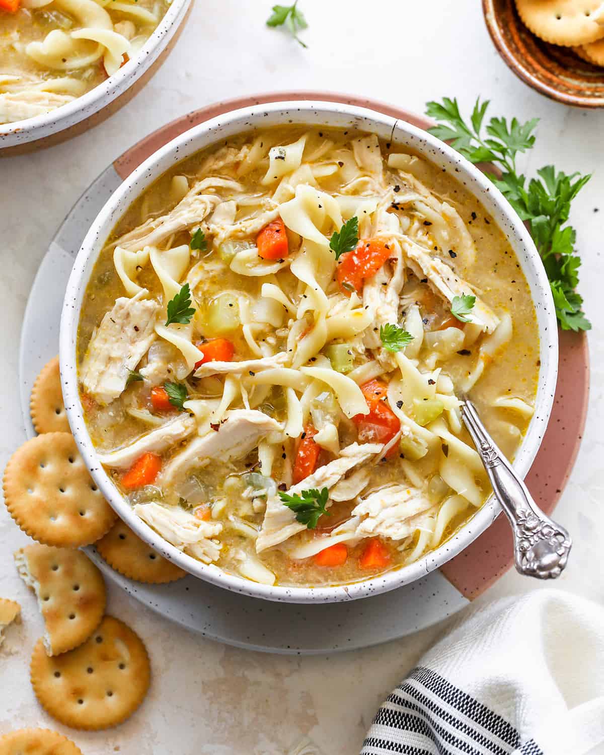 https://joyfoodsunshine.com/wp-content/uploads/2021/01/best-homemade-chicken-noodle-soup-recipe-3.jpg
