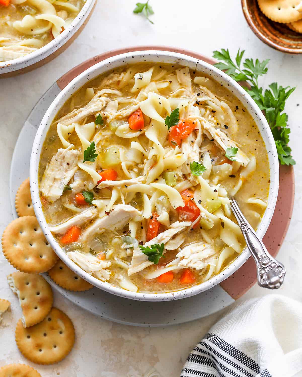 overhead view of a bowl of Homemade Chicken Noodle Soup