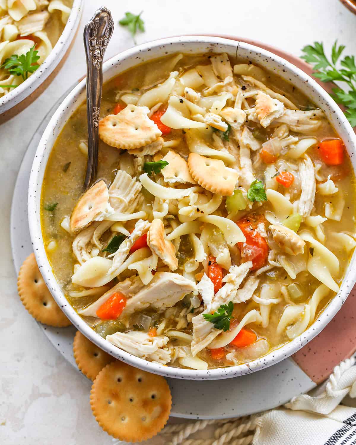 Homemade Chicken Noodle Soup Made with Costco Canned Chicken - One