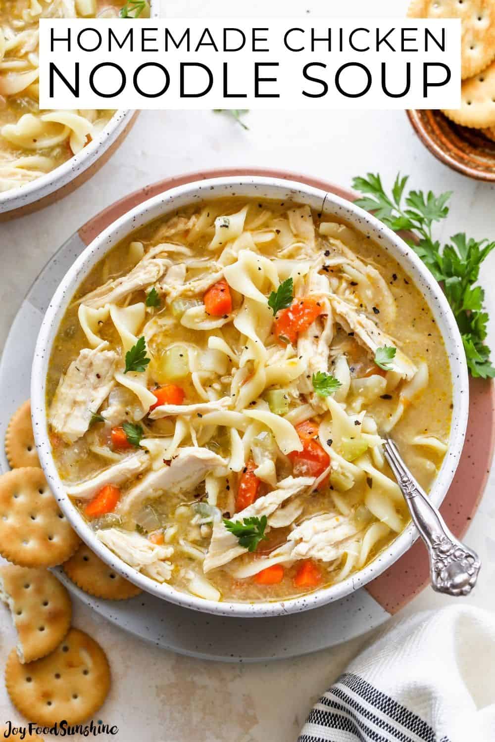 Chicken Noodle Soup - JoyFoodSunshine