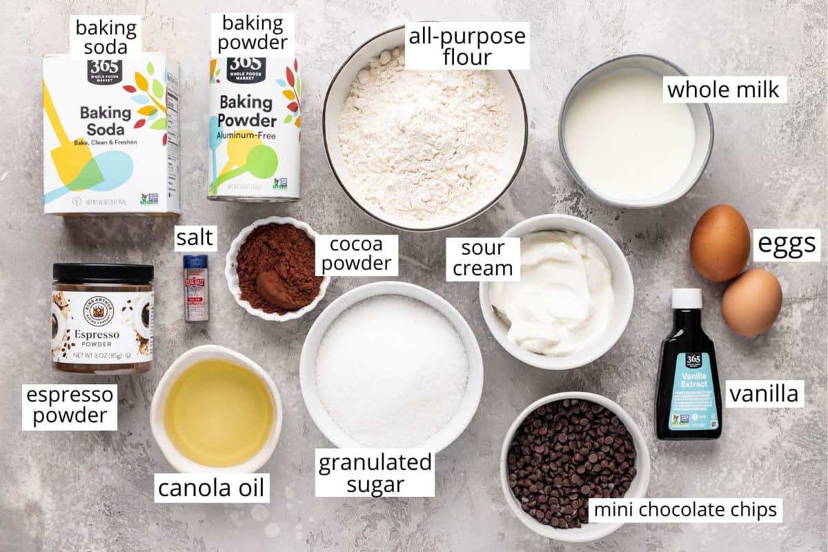 overhead view of the labeled ingredients in this chocolate cupcake recipe