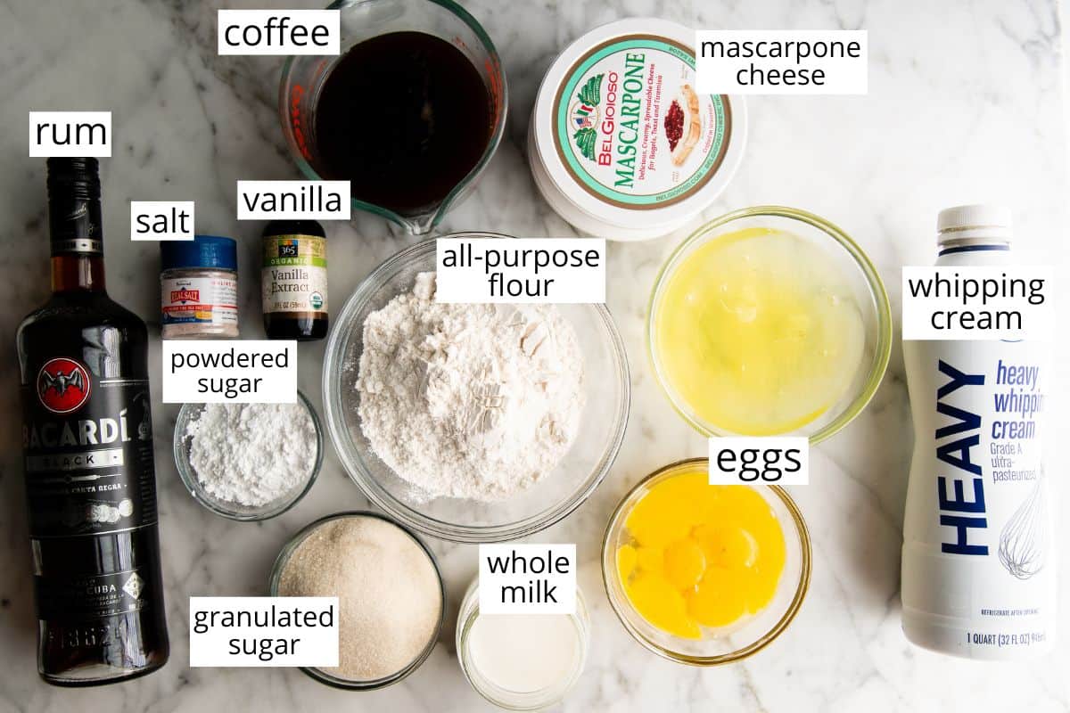 overhead photo of the labeled ingredients in this Tiramisu Recipe