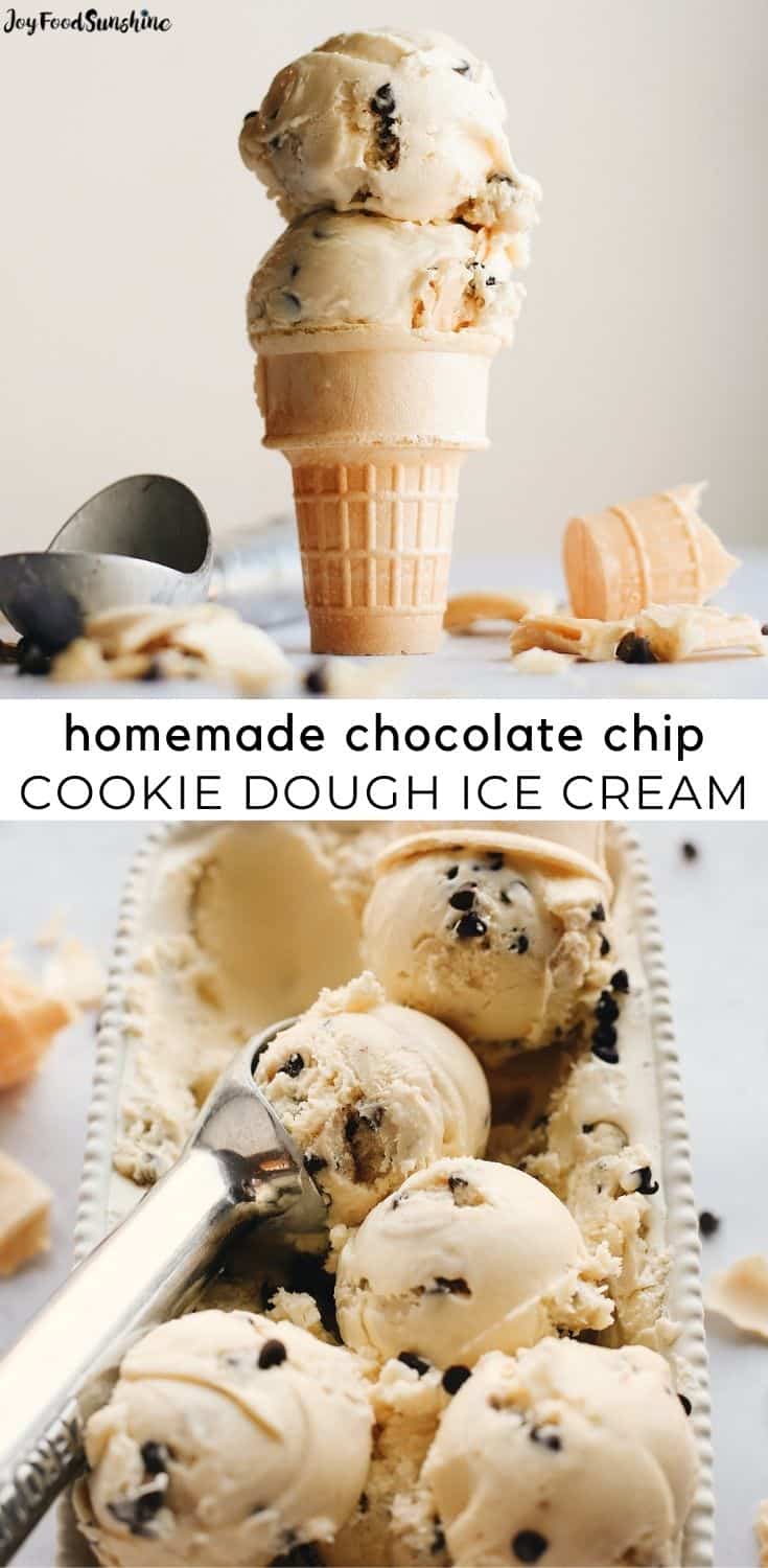 Chocolate Chip Cookie Dough Ice Cream Recipe - JoyFoodSunshine