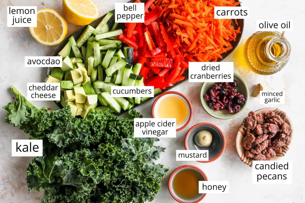overhead photo of the labeled ingredients in this Kale Salad Recipe