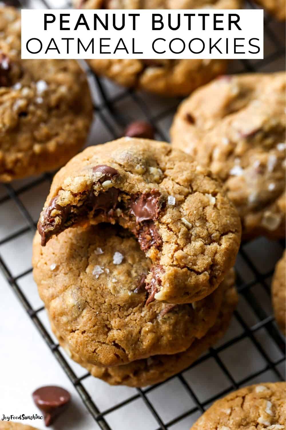 Peanut Butter Oatmeal Cookies - JoyFoodSunshine